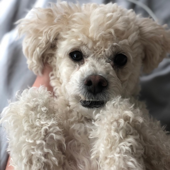 Meet your Posher, Kerry - Picture 2 of 8